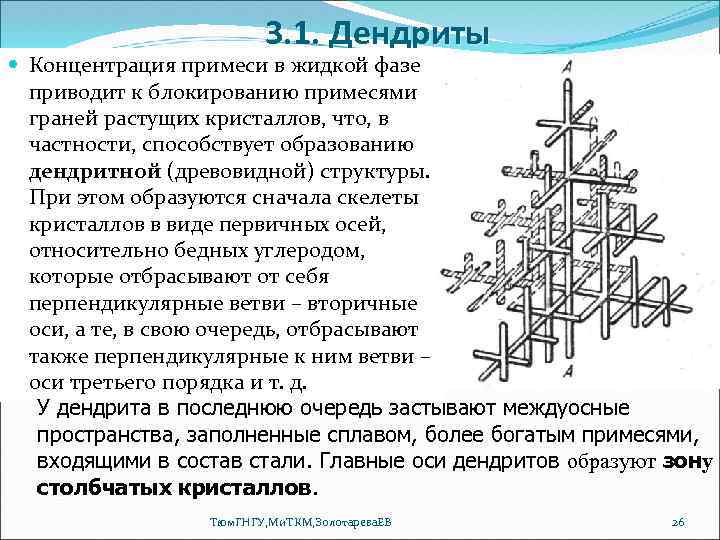 3. 1. Дендриты Концентрация примеси в жидкой фазе приводит к блокированию примесями граней растущих