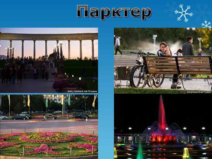 Парктер 