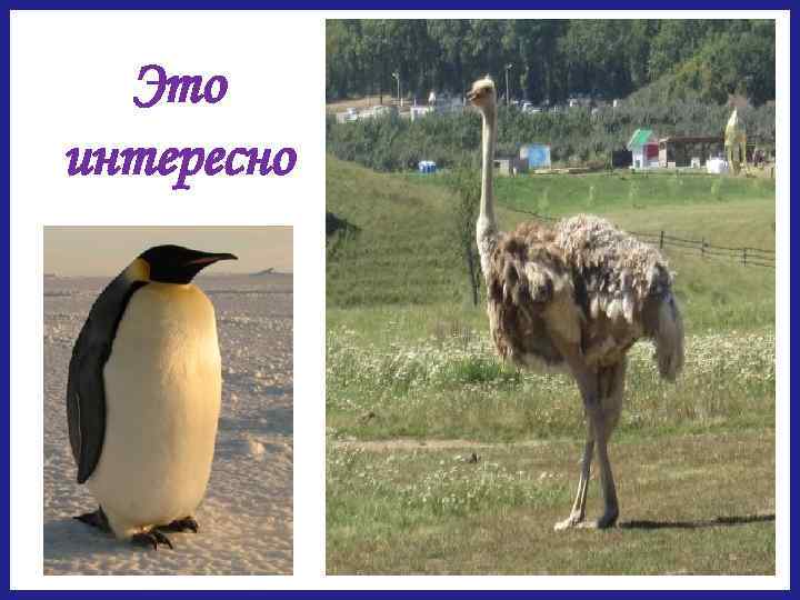 Это интересно 