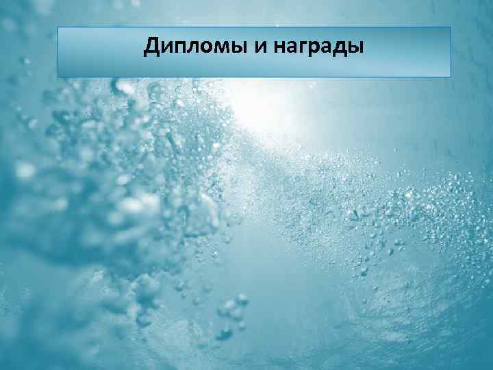 Дипломы и награды 