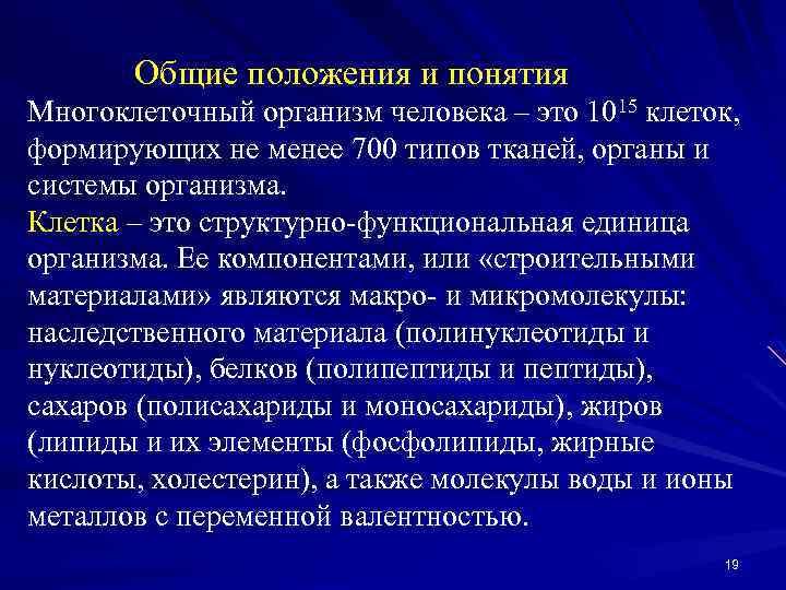 Общие положения и понятия Многоклеточный организм человека – это 1015 клеток, формирующих не менее