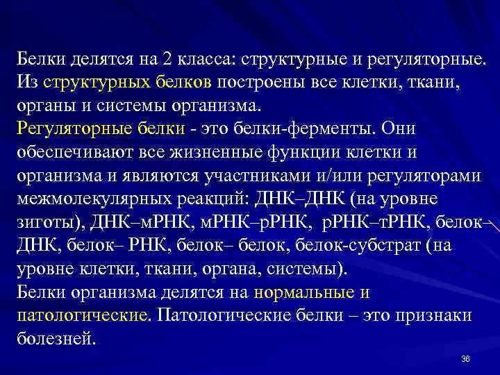 Белки делятся на 2 класса: структурные и регуляторные. Из структурных белков построены все клетки,