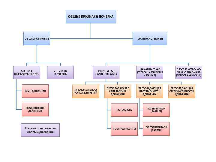 ОБЩИЕ ПРИЗНАКИ ПОЧЕРКА ОБЩЕСИСТЕМНЫЕ СТЕПЕНЬ ВЫРАБОТАННОСТИ ЧАСТНОСИСТЕМНЫЕ СТРОЕНИЕ ПОЧЕРКА ТЕМП ДВИЖЕНИЙ КООРДИНАЦИЯ ДВИЖЕНИЙ Степень