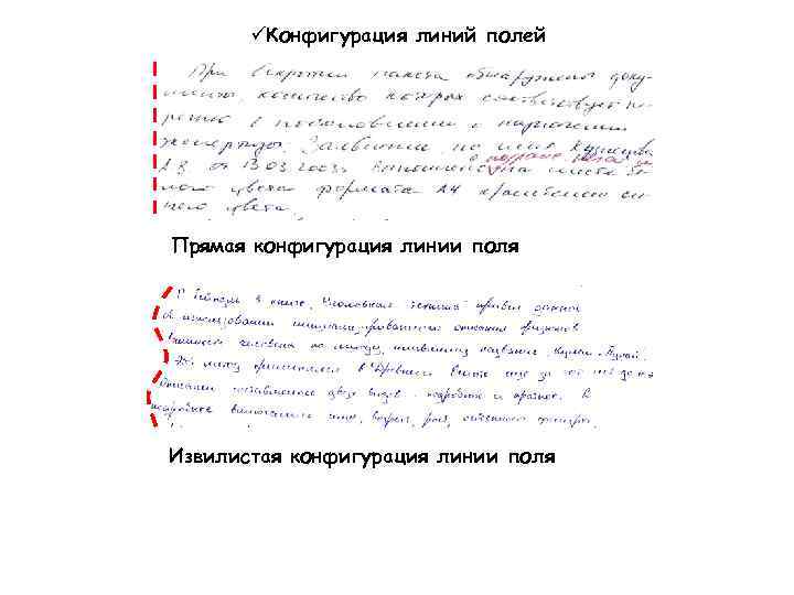 üКонфигурация линий полей Прямая конфигурация линии поля Извилистая конфигурация линии поля 