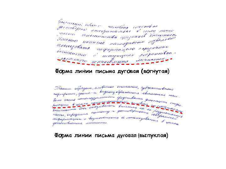 Форма линии письма дуговая (вогнутая) Форма линии письма дуговая (выпуклая) 