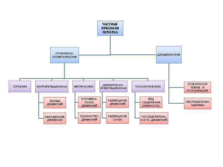 ЧАСТНЫЕ ПРИЗНАКИ ПОЧЕРКА СТРУКТУРНОГЕОМЕТРИЧЕСКИЕ СТРОЕНИЕ КОНФИГУРАЦИОННЫЕ ДИНАМИЧЕСКИЕ МЕТРИЧЕСКИЕ ДВИГАТЕЛЬНООРИЕНТАЦИОННЫЕ ТОПОЛОГИЧЕСКИЕ ОСОБЕННОСТИ ТЕМПА И КООРДИНАЦИИ