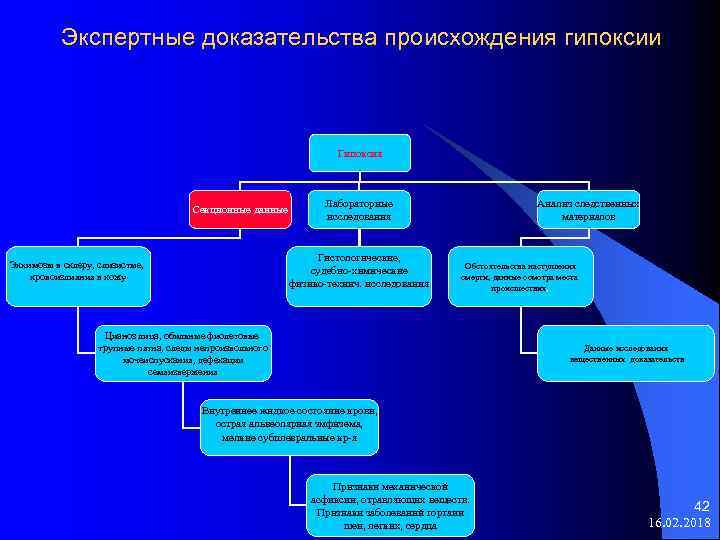 Экспертные доказательства происхождения гипоксии Гипоксия Секционные данные Лабораторные исследования Гистологические, судебно-химические физико-технич. исследования Экхимозы