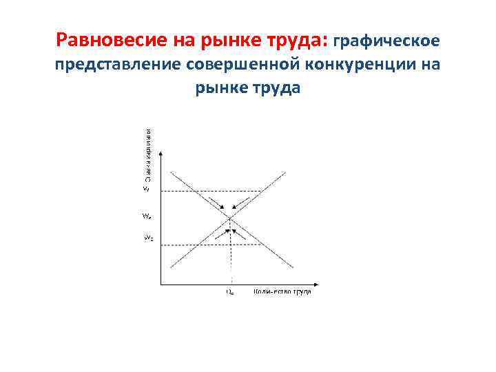 Равновесие на рынке труда: графическое представление совершенной конкуренции на рынке труда 