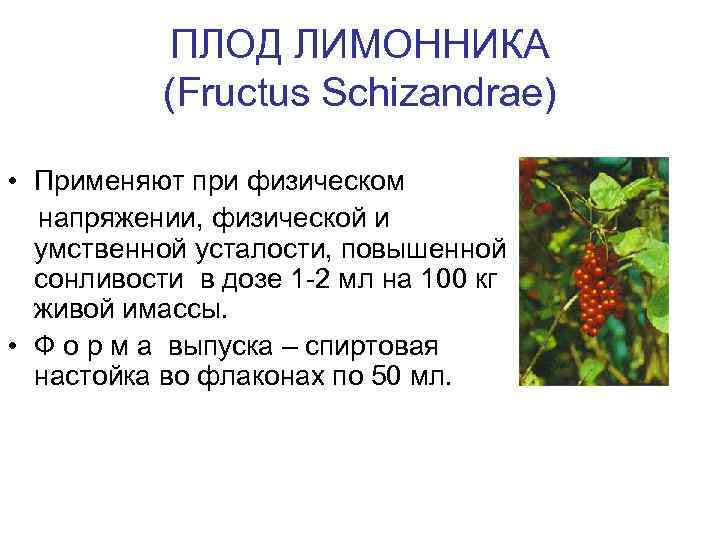 ПЛОД ЛИМОННИКА (Fructus Schizandrae) • Применяют при физическом напряжении, физической и умственной усталости, повышенной