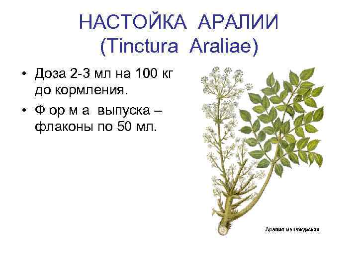 НАСТОЙКА АРАЛИИ (Tinctura Araliae) • Доза 2 -3 мл на 100 кг до кормления.