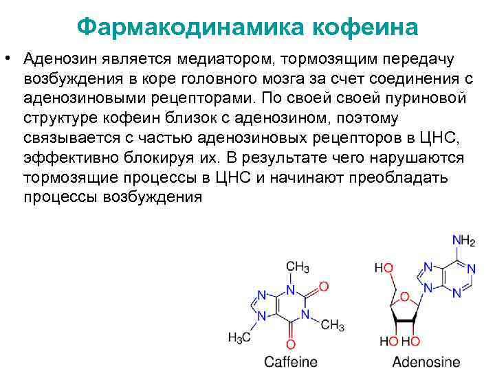 Кофеин антагонист аденозина. А1 аденозиновые рецепторы функции. Аденозин агонисты. Кофеин блокатор аденозиновых рецепторов.