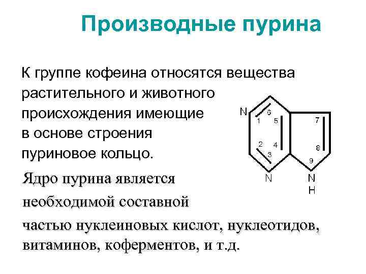 Производные пурина К группе кофеина относятся вещества растительного и животного происхождения имеющие в основе