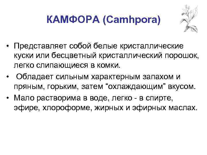 КАМФОРА (Camhpora) • Представляет собой белые кристаллические куски или бесцветный кристаллический порошок, легко слипающиеся