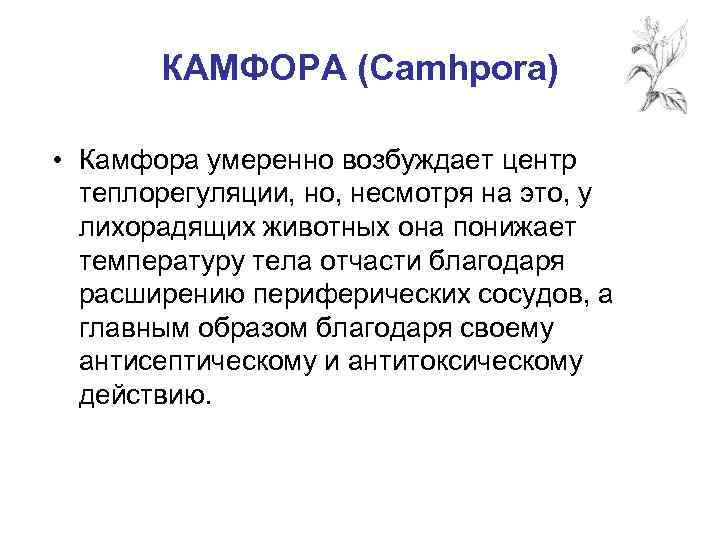 КАМФОРА (Camhpora) • Камфора умеренно возбуждает центр теплорегуляции, но, несмотря на это, у лихорадящих