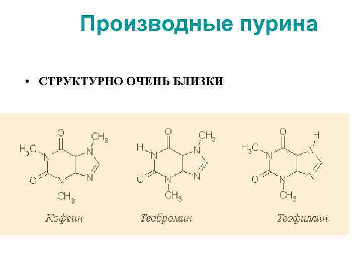 Производные пурина • СТРУКТУРНО ОЧЕНЬ БЛИЗКИ 