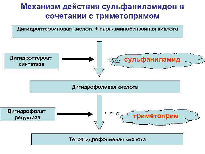 Сульфаниламиды фармакология презентация