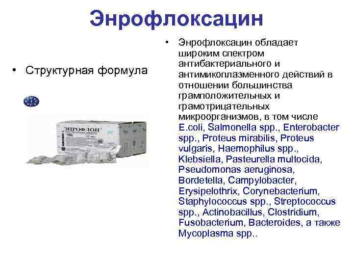 Энрофлоксацин • Структурная формула • Энрофлоксацин обладает широким спектром антибактериального и антимикоплазменного действий в