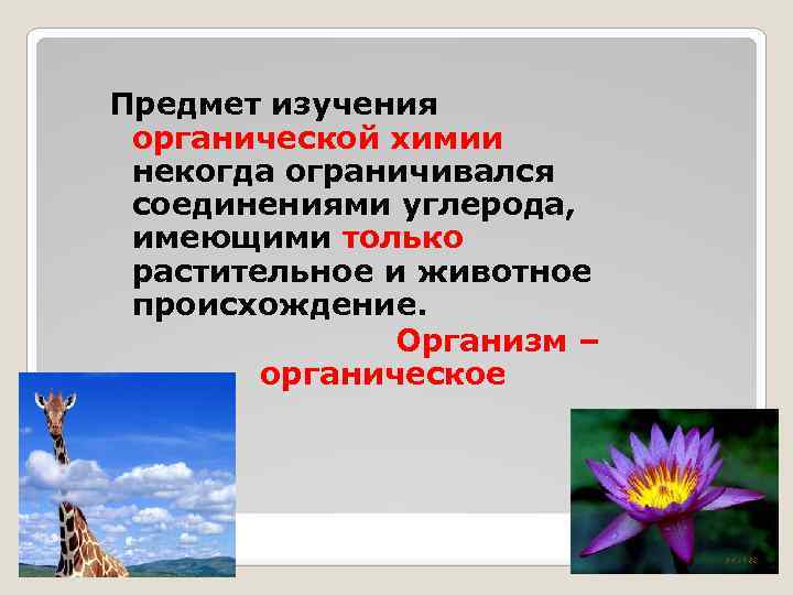 Предмет изучения органической химии некогда ограничивался соединениями углерода, имеющими только растительное и животное происхождение.