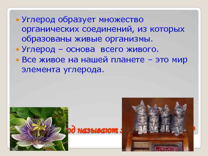 Углерод образует множество органических соединений, из которых образованы живые организмы. Углерод – основа всего