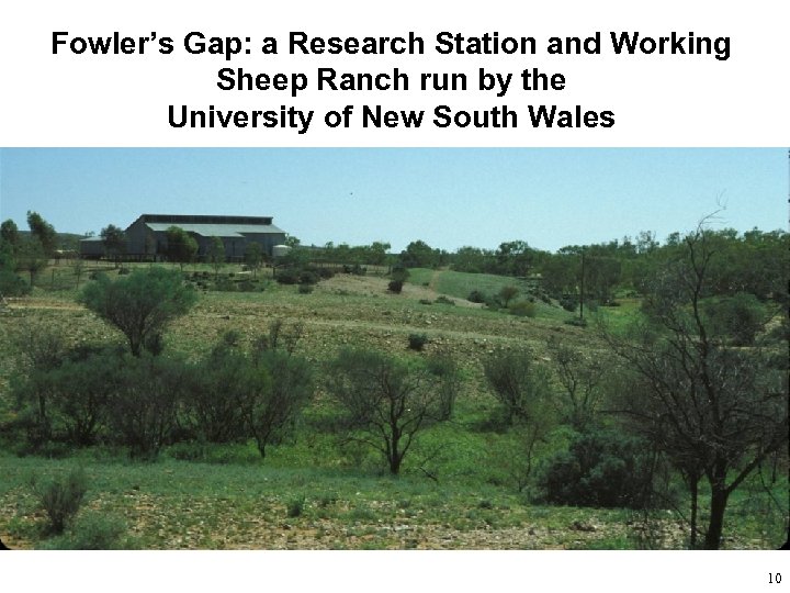 Fowler’s Gap: a Research Station and Working Sheep Ranch run by the University of