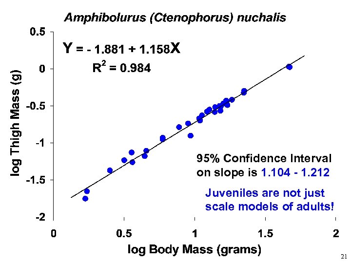 95% Confidence Interval on slope is 1. 104 - 1. 212 Juveniles are not