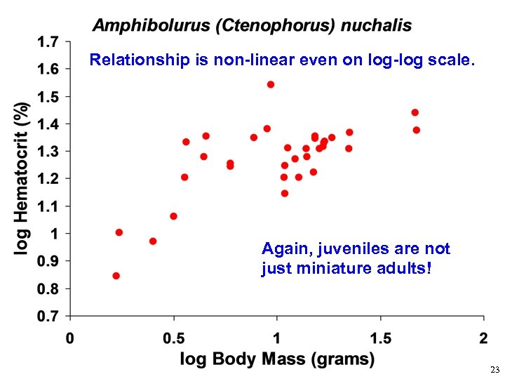 Relationship is non-linear even on log-log scale. Again, juveniles are not just miniature adults!