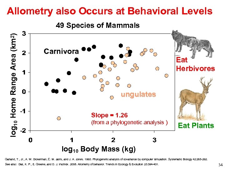 Allometry also Occurs at Behavioral Levels log 10 Home Range Area (km 2) 49