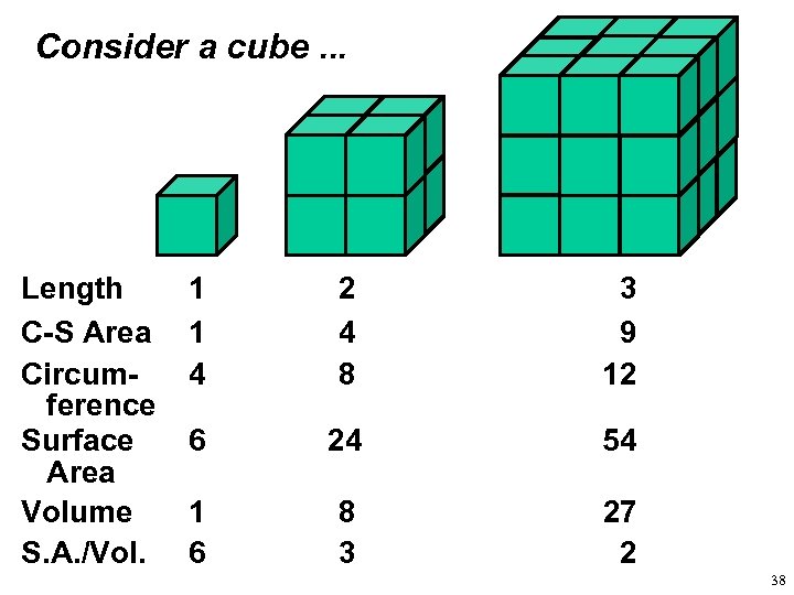 Consider a cube. . . Length C-S Area Circumference Surface Area Volume S. A.