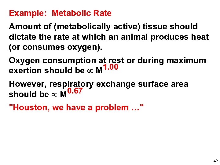 Example: Metabolic Rate Amount of (metabolically active) tissue should dictate the rate at which