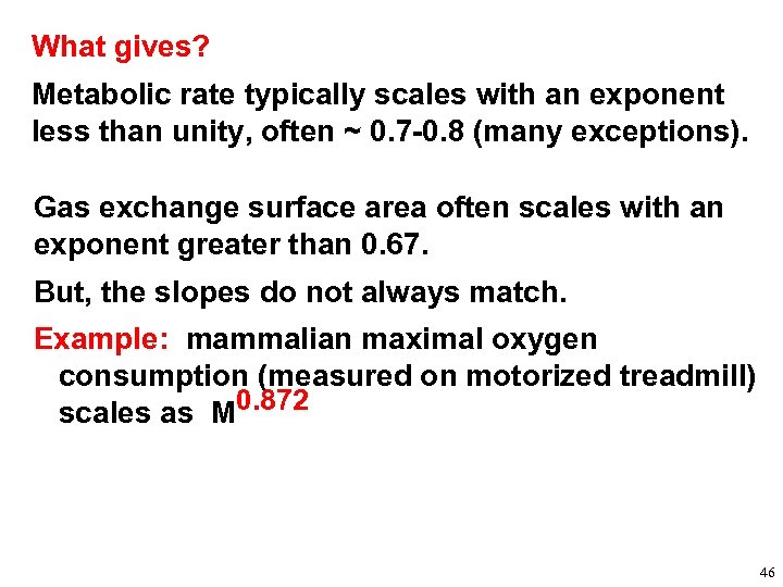 What gives? Metabolic rate typically scales with an exponent less than unity, often ~