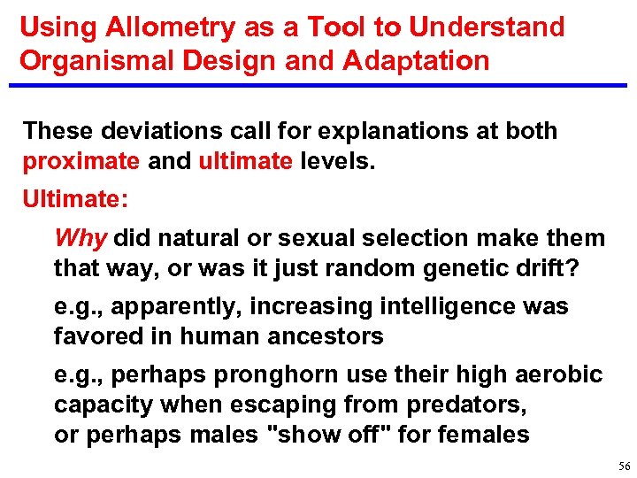 Using Allometry as a Tool to Understand Organismal Design and Adaptation These deviations call