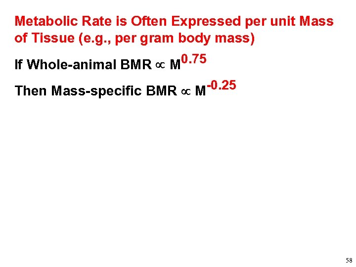 Metabolic Rate is Often Expressed per unit Mass of Tissue (e. g. , per