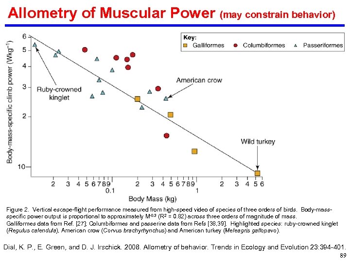 Allometry of Muscular Power (may constrain behavior) Figure 2. Vertical escape-flight performance measured from