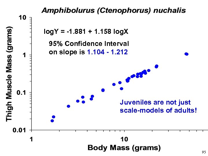 log. Y = -1. 881 + 1. 158 log. X 95% Confidence Interval on