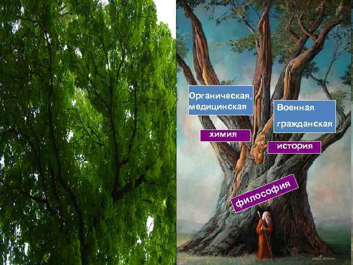 Органическая, медицинская Военная гражданская химия история я ило ф и оф с 