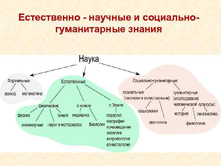 Естественнонаучные и гуманитарные науки