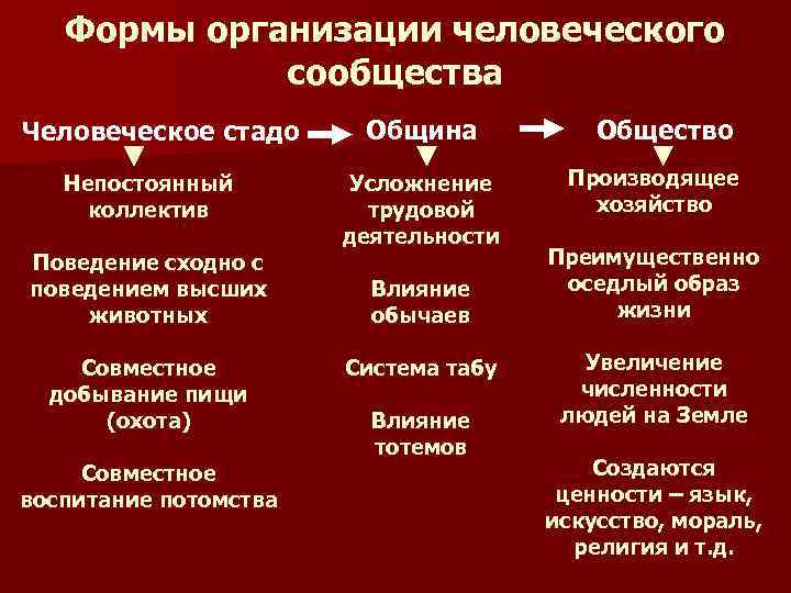 Формы организации человеческого сообщества Человеческое стадо Непостоянный коллектив Поведение сходно с поведением высших животных
