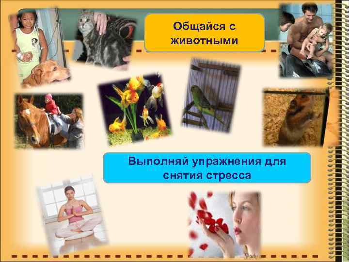 Общайся с животными Выполняй упражнения для снятия стресса 