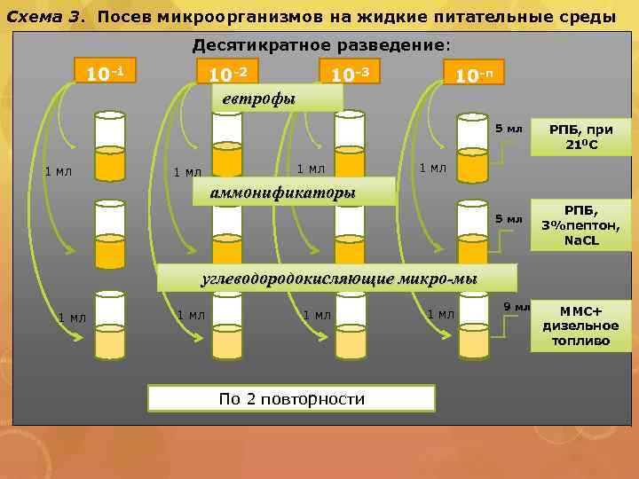 Схема 3. Посев микроорганизмов на жидкие питательные среды Десятикратное разведение: 10 -1 10 -2