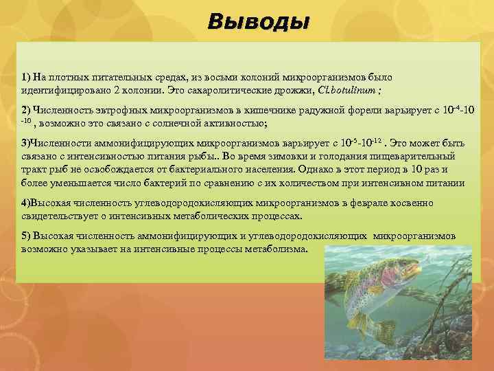 Выводы 1) На плотных питательных средах, из восьми колоний микроорганизмов было идентифицировано 2 колонии.