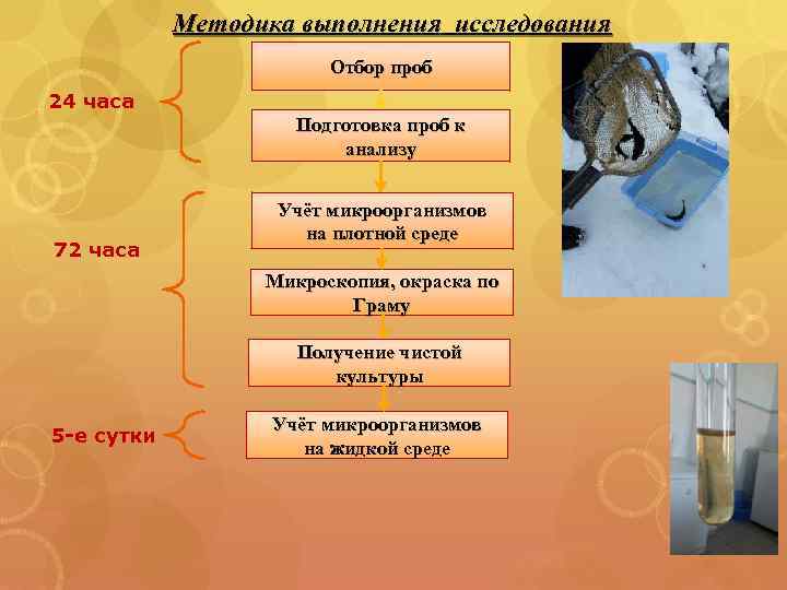 Методика выполнения исследования Отбор проб 24 часа Подготовка проб к анализу 72 часа Учёт