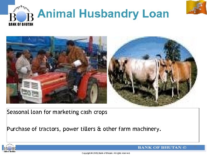 Animal Husbandry Loan Seasonal loan for marketing cash crops Purchase of tractors, power tillers