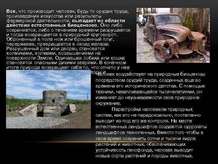 Все, что производит человек, будь то орудия труда, произведения искусства или результаты фермерской деятельности,