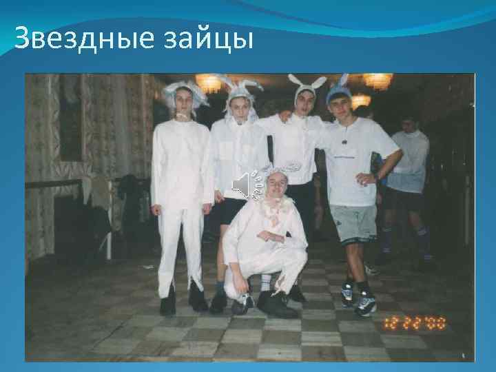 Звездные зайцы 