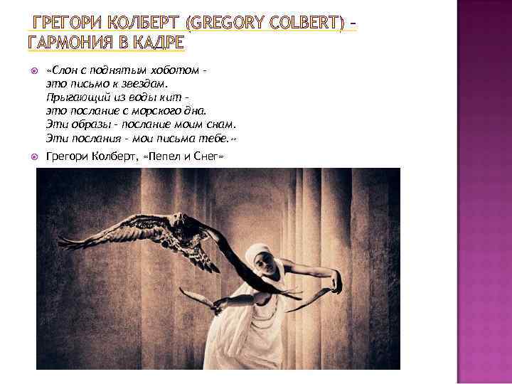  ГРЕГОРИ КОЛБЕРТ (GREGORY COLBERT) – ГАРМОНИЯ В КАДРЕ «Слон с поднятым хоботом –