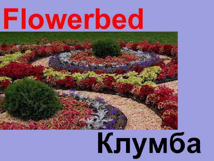 Flowerbed Клумба 