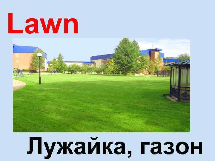 Lawn Лужайка, газон 