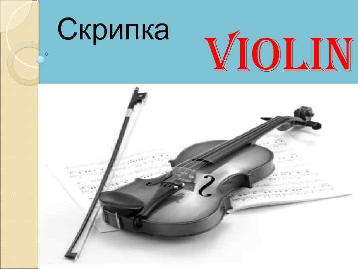 Скрипка violin 