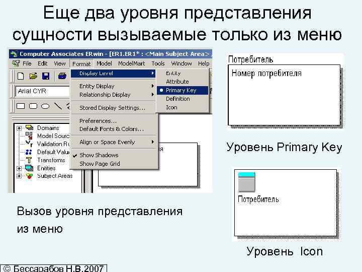 Еще два уровня представления сущности вызываемые только из меню Уровень Primary Key Вызов уровня