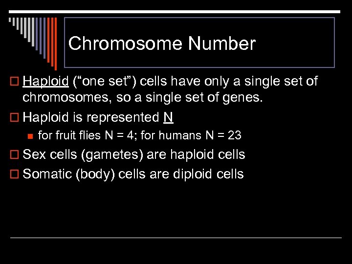 Chromosome Number o Haploid (“one set”) cells have only a single set of chromosomes,